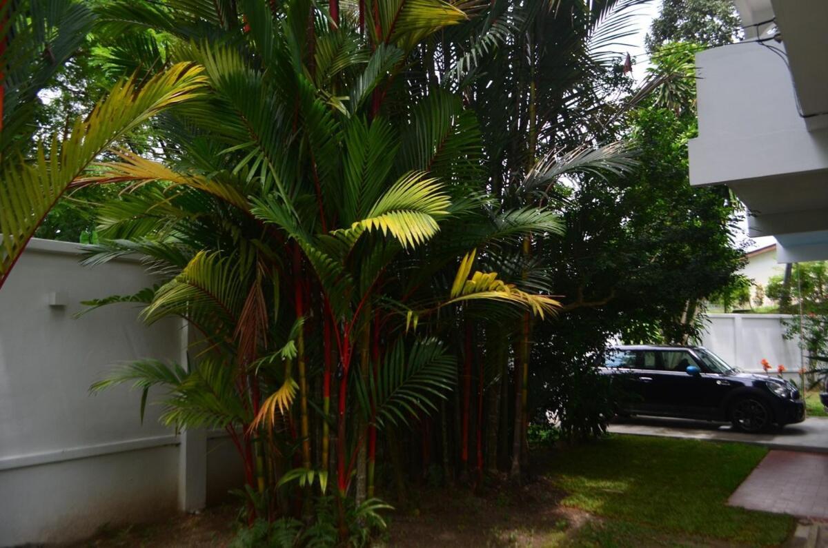 Vila Clara Mutiara Pool *