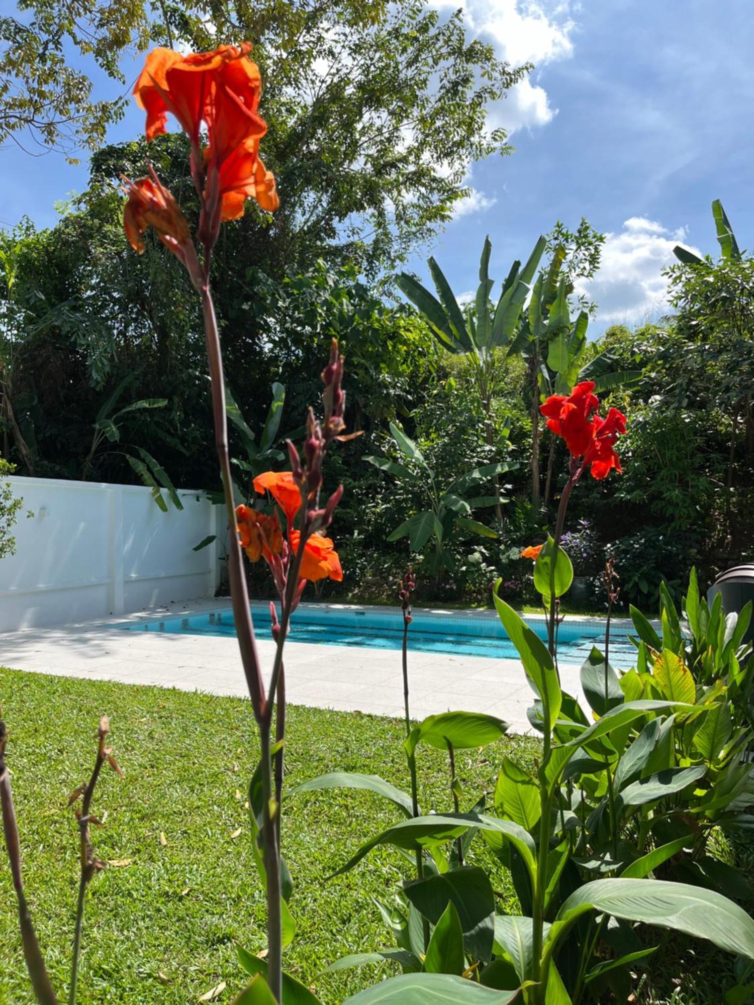 Vila Clara Mutiara Pool *